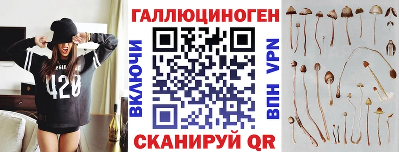 Псилоцибиновые грибы мухоморы  Купить закладки  Нерчинск 